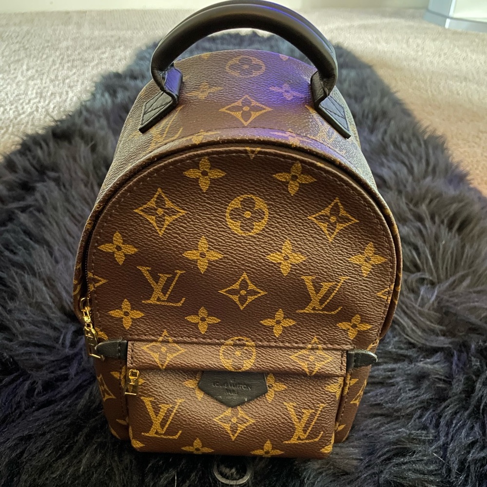 Louis Vuitton Palm Springs Mini Backpack